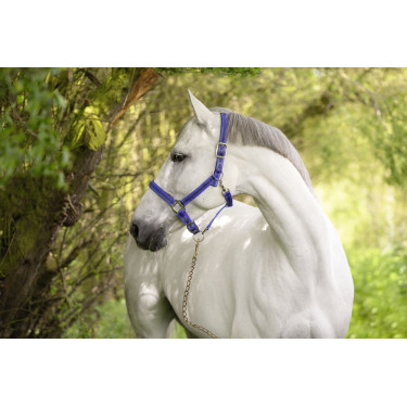 Capestro Mustang Covalliero Capestro Mustang Covalliero