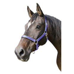 Capestro Mustang Covalliero Capestro Mustang Covalliero