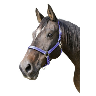 Capestro Mustang Covalliero Capestro Mustang Covalliero