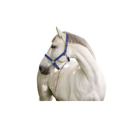 Capestro Mustang Covalliero Capestro Mustang Covalliero