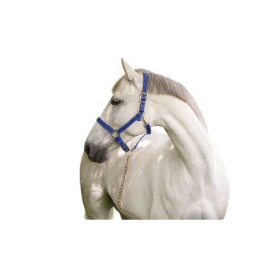 Capestro Mustang Covalliero Capestro Mustang Covalliero