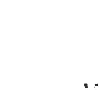Paratendini LeMieux Arika Nero