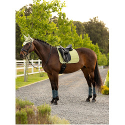 Sottosella da dressage LeMieux Square in tessuto mesh Air-Tek Distintivo Verde Sottosella da dressage LeMieux Square in tessuto mesh Air-Tek Distintivo Verde