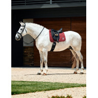 Sottosella da dressage Weatherbeeta Softshell Pro 3D Air-Tec Nero