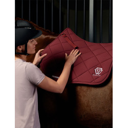 Sottosella Weatherbeeta misto Softshell Pro 3D Air-Tec Bordeaux