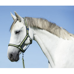 Longe Covalliero Hippo Antracite / limone Grigio