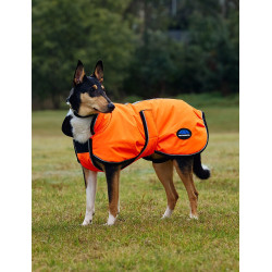 Coperta impermeabile per cane Weatherbeeta ComFiTec riflettente 300D Deluxe Arancione