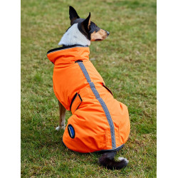 Coperta impermeabile per cane Weatherbeeta ComFiTec riflettente 300D Deluxe Arancione