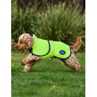 Coperta impermeabile per cane Weatherbeeta ComFiTec riflettente 300D Deluxe Arancione Coperta impermeabile per cane Weatherbeeta ComFiTec riflettente 300D Deluxe Arancione