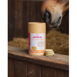 Integratore Ciclo Comfort Giumenta Happy Crackers