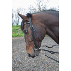 Adattatore per lunghina Shires Nero Adattatore per lunghina Shires Nero