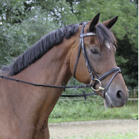 Redini Covalliero finitura...