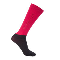 Calze Equestrian Shires Aubrion Mora Bordeaux