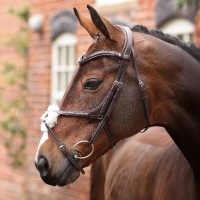 Briglia con capezzina incrociata Opus 180M Shires Velociti Lusso Avana Marrone