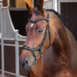 new