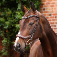 Briglia ergonomica con noseband francese Opus 180M Shires Velociti Lusso Avana Marrone