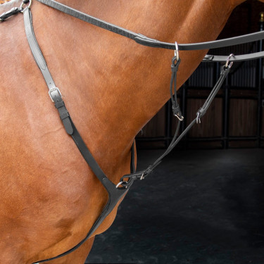 Pettorale Shires Velociti Rapida Nero