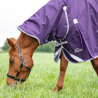 Coperta da esterno integrale Original 100 Shires Highlander Prugna Viola