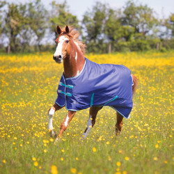 new new