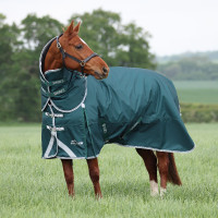 Coperta da esterno Original 300 + copricollo Shires Highlander Verde