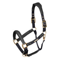 Capezza in pelle imbottita Shires Velociti Lusso Nero