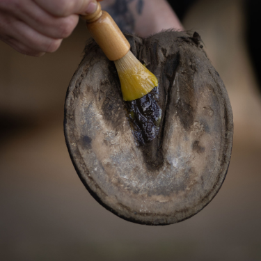 Balsamo per la cura degli zoccoli Nellumbo