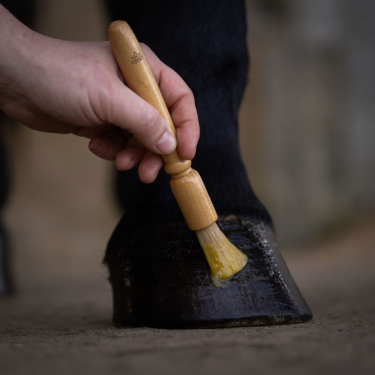 Balsamo per la cura degli zoccoli Nellumbo