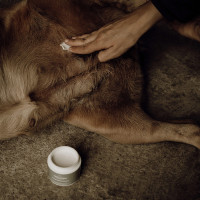 Balsamo pelli sensibili Nellumbo cani e gatti