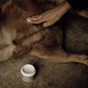 Balsamo pelli sensibili Nellumbo cani e gatti