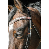 Briglia Norton Pro EK-Paris Avana Marrone