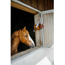 Giocattolo per cavalli Hippotonic Ape Giallo