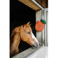 Giocattolo per cavalli Hippotonic Mela Rosso