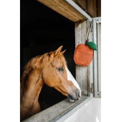 Giocattolo per cavalli Hippotonic Mela Rosso
