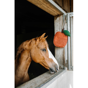 Giocattolo per cavalli Hippotonic Mela Rosso