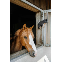 Giocattolo per cavalli Hippotonic Rinoceronte Grigio Giocattolo per cavalli Hippotonic Rinoceronte Grigio