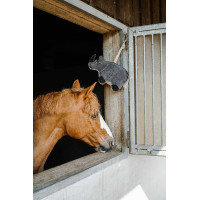 Giocattolo per cavalli Hippotonic Rinoceronte Grigio