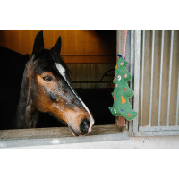 Giocattolo per cavalli Hippotonic Albero di Natale Verde