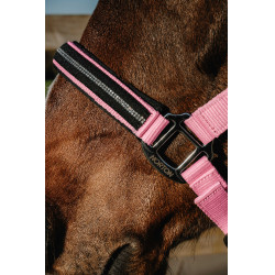 Capezzina Norton Crystal Rosa