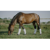 Stinchiere Equithème antimosche anti-UV in set da 4 Bianco