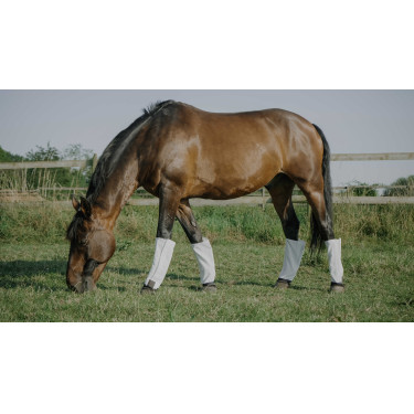 Stinchiere Equithème antimosche anti-UV in set da 4 Bianco