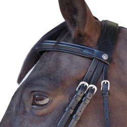 Bridon Pull Back Euro Canter Nero