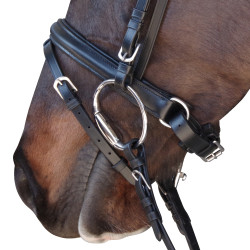 Bridon Pull Back Euro Canter Nero