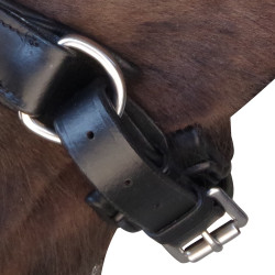 Bridon Pull Back Euro Canter Nero