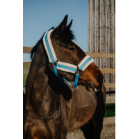 Capestro Norton Comfy Blu