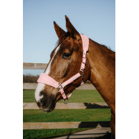 Capezza Equithème Breeze Rosa