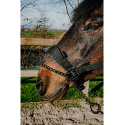 Capezza Equithème Control Nero Capezza Equithème Control Nero