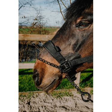 Capezza Equithème Control Nero Capezza Equithème Control Nero