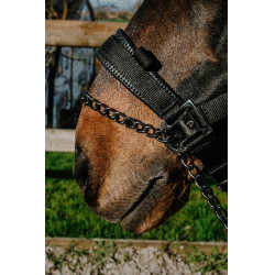 Capezza Equithème Control Nero Capezza Equithème Control Nero