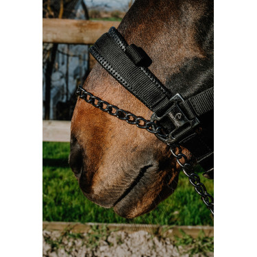 Capezza Equithème Control Nero Capezza Equithème Control Nero