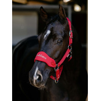 Capezza Vogue LeMieux staccabile Cile Rosso